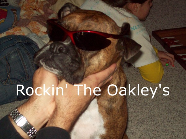 belle-oakleys-600x450.jpg