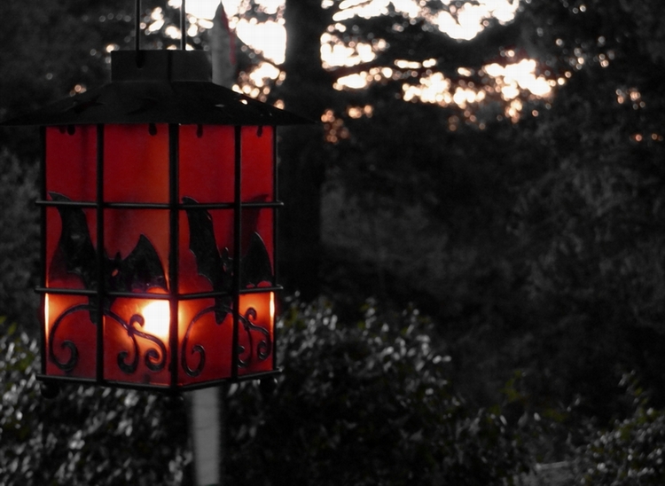 Bat Lamp 2009 edit.JPG