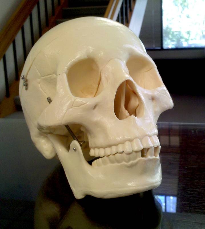 Yorick 9-28-2011.JPG