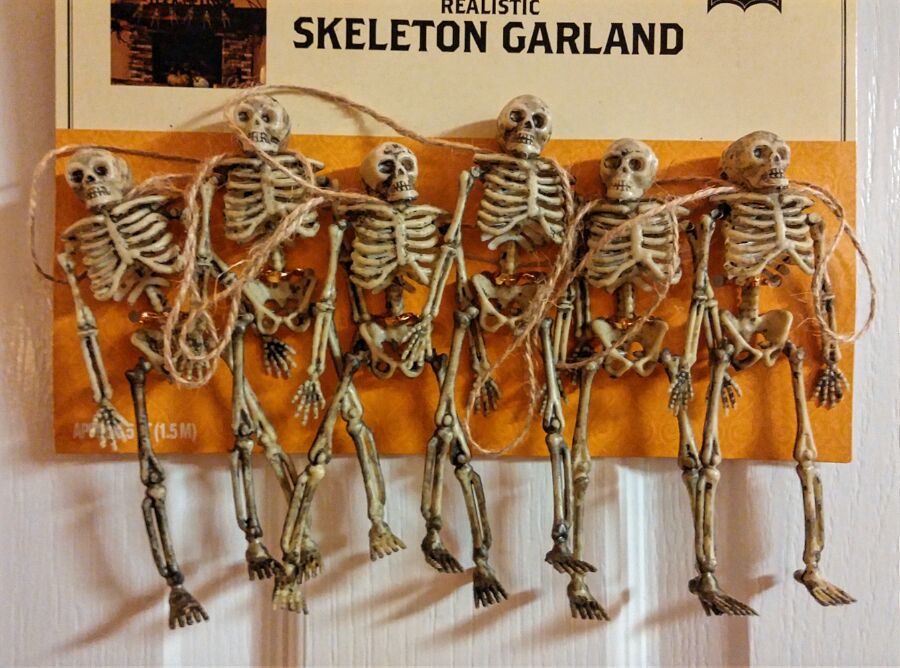 band of bones.jpg