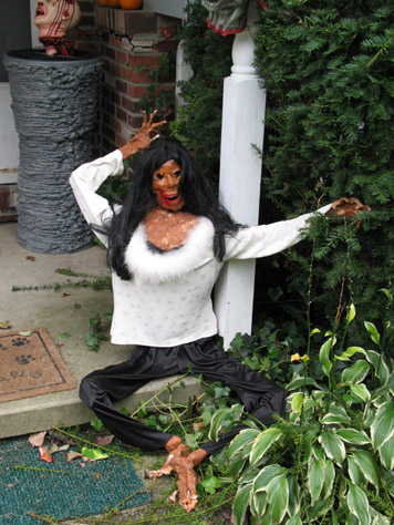 A bucky I corpsified a few years back, I made her a girl.  Ain't she purty?!?